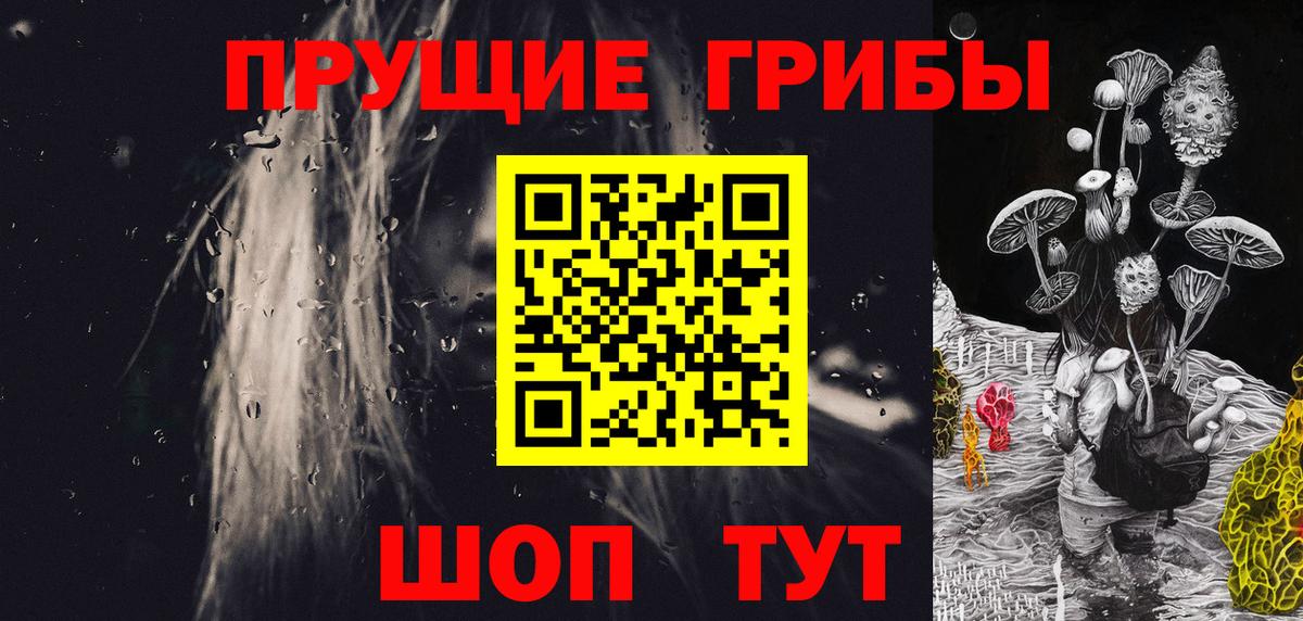 Галлюциногенные грибы Cubensis Зеленогорск
