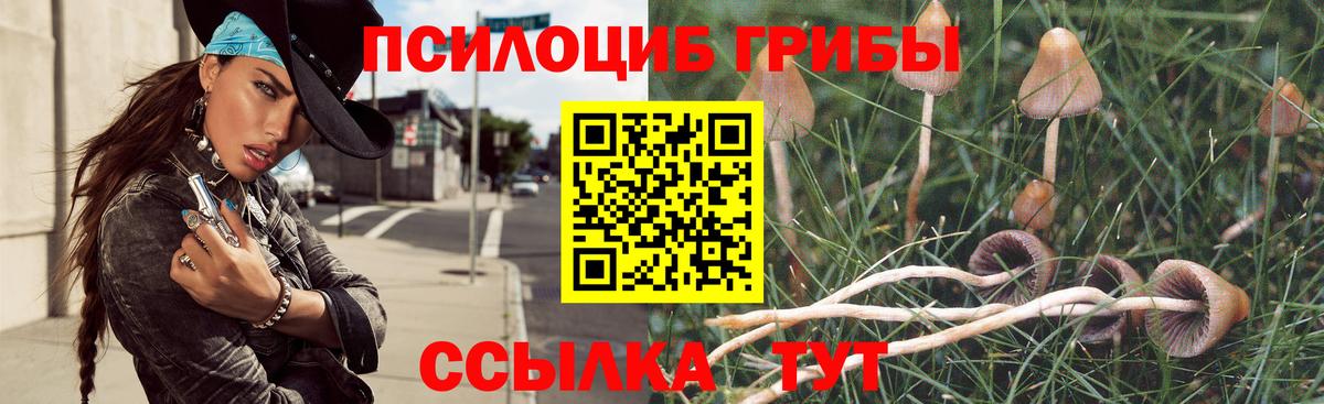 Зеленогорск  Галлюциногенные грибы прущие грибы  Вход с VPN 